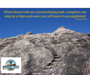 When faced with an overwhelming task, complete one step at a time and soon you will have it accomplished            